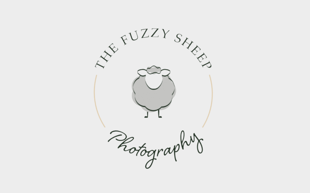 Fuzzy Sheep Photography