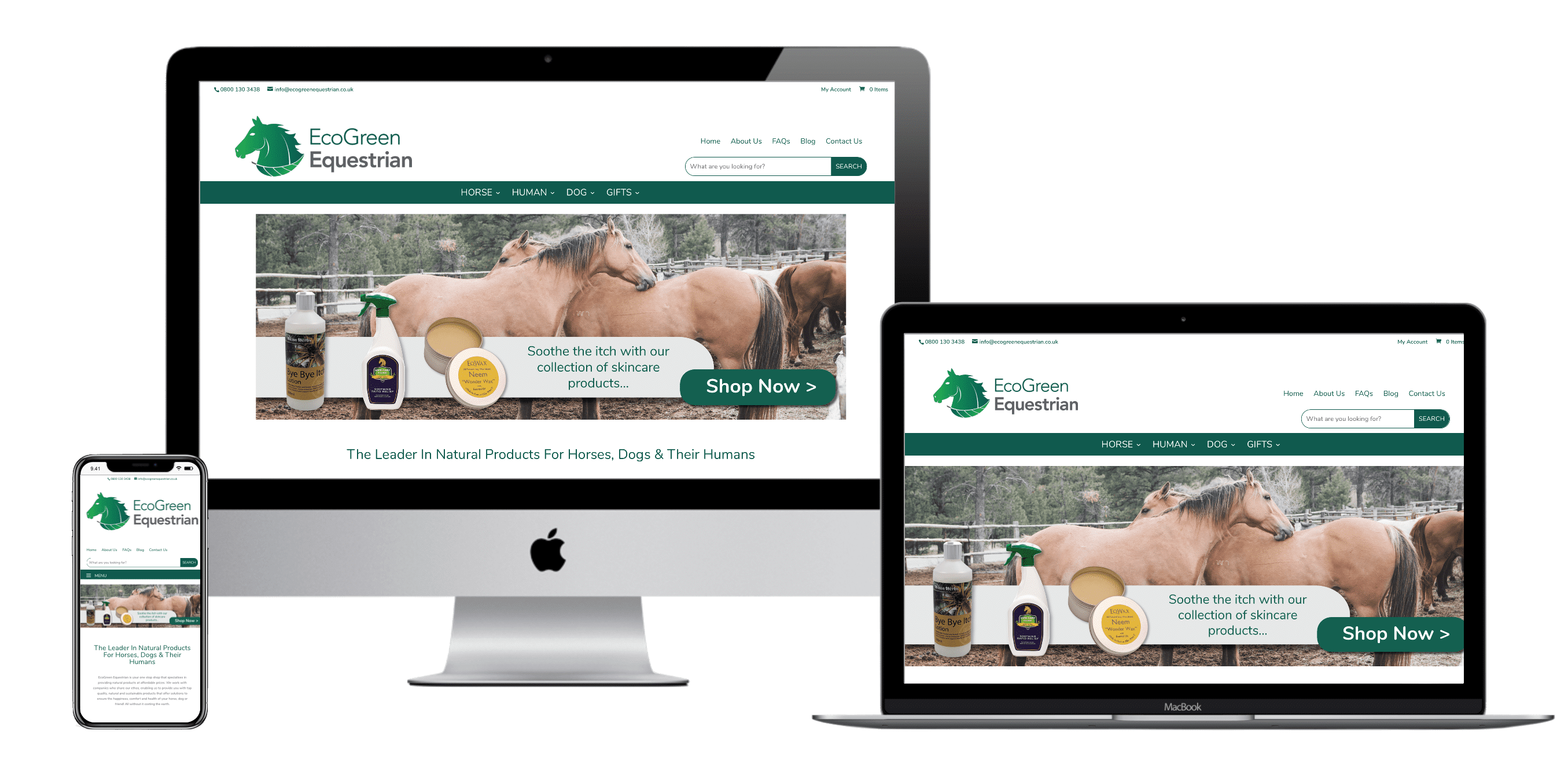 equestrian website design